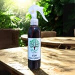 Sidr Ağacı Oda Spreyi